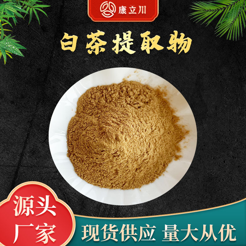 白茶提取物10:1  白茶粉  康立川现货供应【1KG起订 包邮】