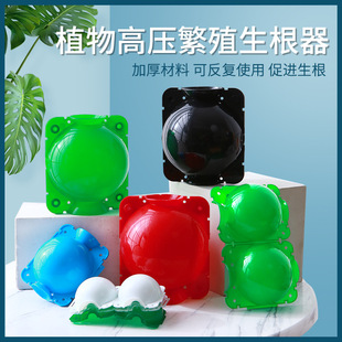 ֲ��߉���ֳ��  �߿Չ�ֲ֦��߉��з�ֳ��@�֘�ľ�޽�������