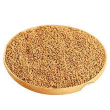 ��«����«���ӿඹ��Ұ��������������ʲ�5g�˰�