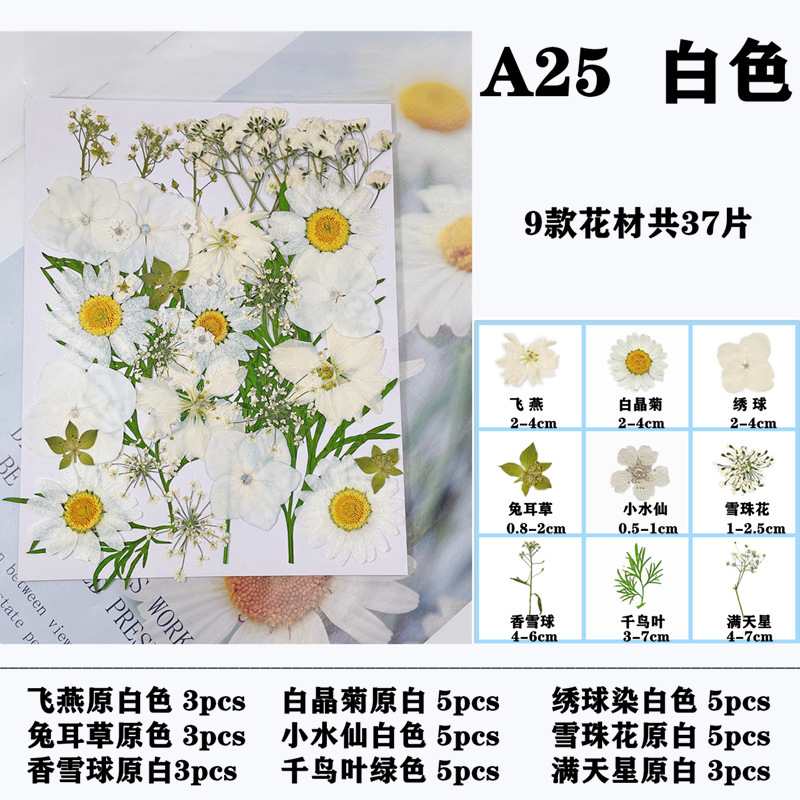 干花压花材料包 diy押花相框书签滴胶手机壳脸部贴花真花植物标本|undefined