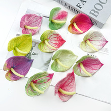 ����t�ƻ��^ �������ϻ��滨�zӰ�����廨С�[��diy��ñ���b����