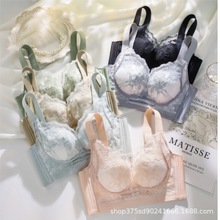 DD405{ٽzm۔n´ոoȦBC¿