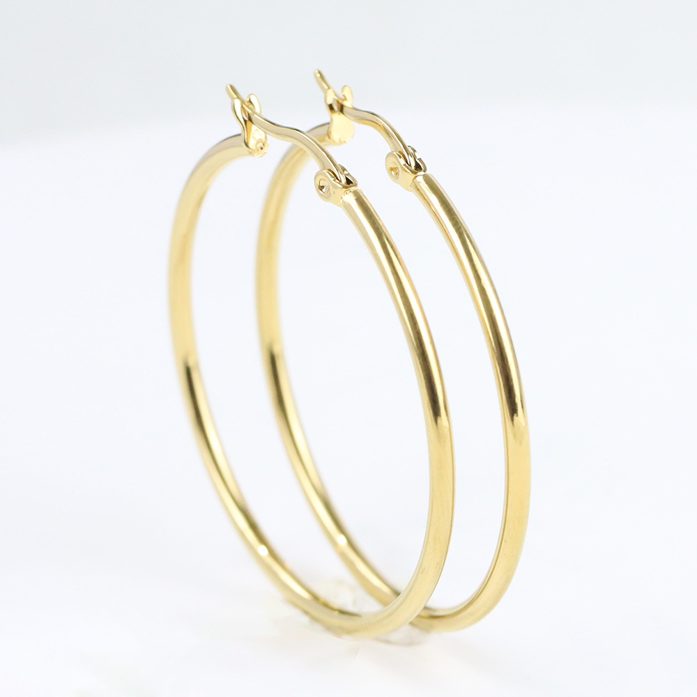 Earrings Classification Simple Style Round Titanium Steel Plating Earrings 1 Pair