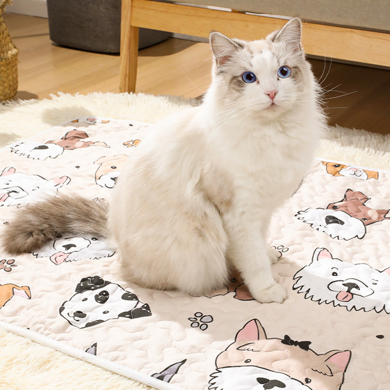 Mascota estera Cuatro Estaciones universal gran número de en stock color y durable mascota manta perro Mat suministros al por mayor