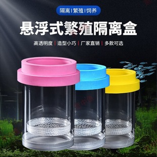 Isolated juvenile fish small fish delivery room incubator guppy female fish suspension box floating fish tank breeding type