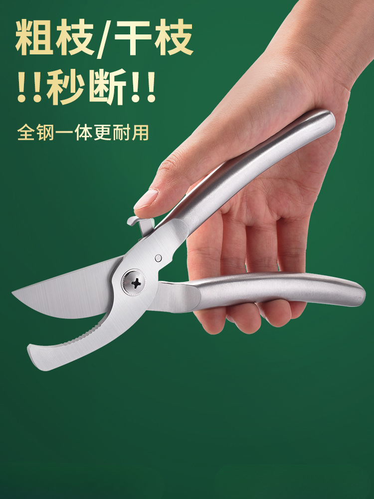 全钢修枝剪304全不锈钢剪树枝剪子剪枝园林家用花艺剪刀
