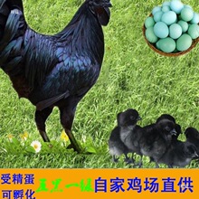 ���һ�G�ܾ����ɷ���С�uɢ�B�u�������u�������G���N�����]��