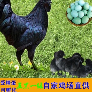 ���һ�G�ܾ����ɷ���С�uɢ�B�u�������u�������G���N�����]��