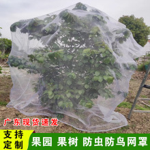 ������x�W�֙����{ݮ�Ό�����÷���˘���B����ω�W���ӷN�˾W��