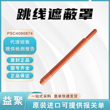 ABCHANCE�����ڱ���PSC4060674�߉���|�^�����o�܌������o��