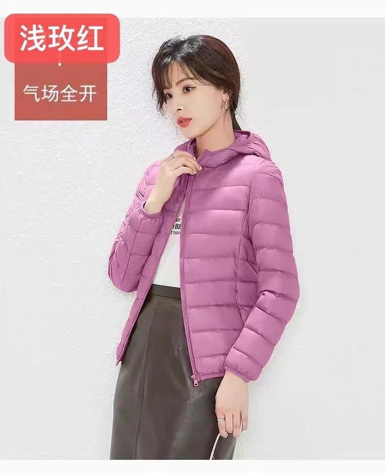 라이트 로즈 레드