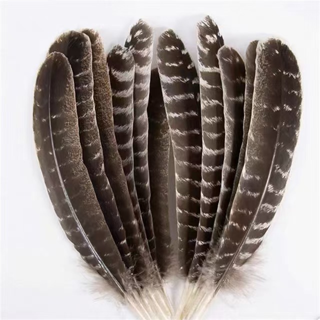 供应批发火鸡窝翎diy饰品配件头饰胸花帽子工艺装饰羽毛diy材料