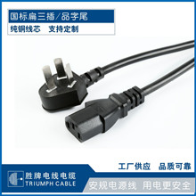 勝牌國標中規三角扁三插10A電源線延長線電腦線電器線電飯鍋線