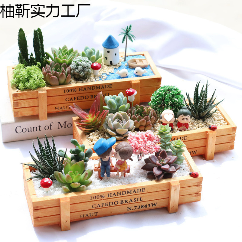 多肉 多肉植物 套装组合盆栽室内办公室防辐射创意diy盆栽含夷陵