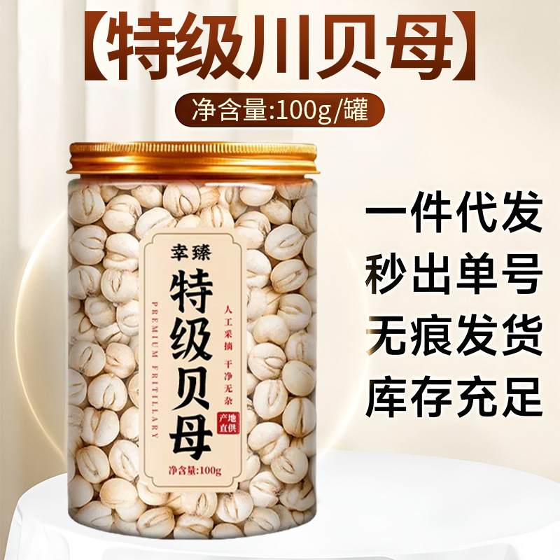 Premium Sichuan Fritillaria Bulb 100g Dried Chuan Bei Mu for Herbal Decoction and Soup quality and texture