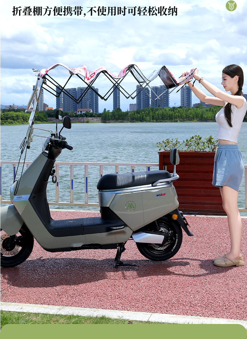 Folding Canopy for Electric Vehicles, Sunshade and Rain Cover with Large Windows, No Assembly Required, Ready to Use, Cross-Border Supply