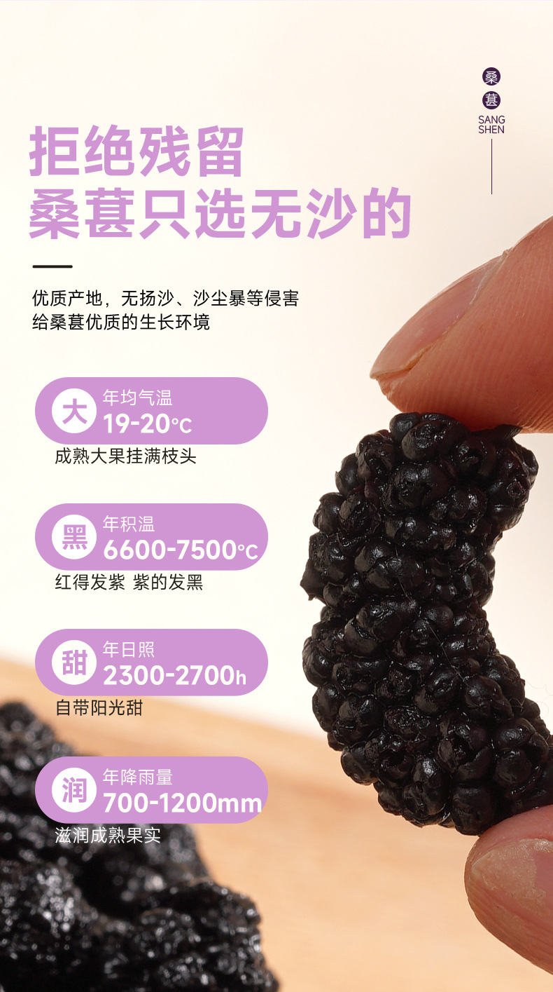 Dried Mulberry Fruit 250g Seedless Black Mulberry Sang Shen for Tea Snacking and Fruit Wine key features