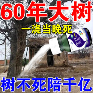 @�����ș����һ����������ӷۿݘ�����������g��