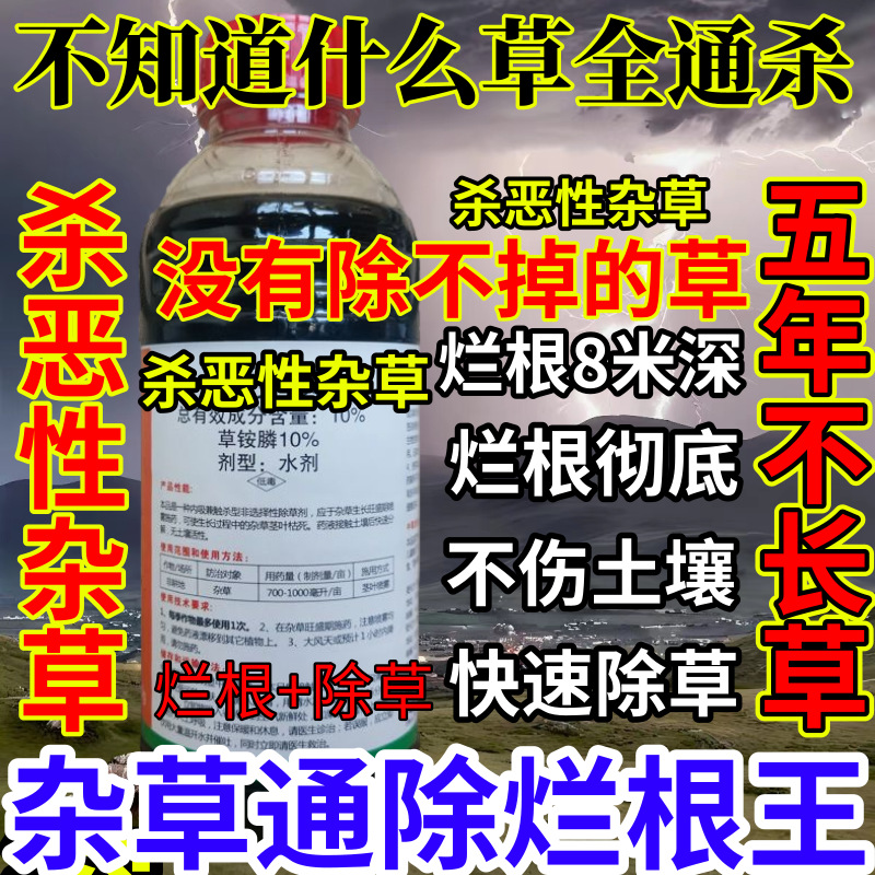 不知道什么草全通杀精草铵膦铵盐果园小飞蓬耕地强效除草剂烂根王