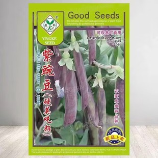 ���㶹�N���v�����㶹�N�ӷ��D������m�����Ը߮a��Ƥ�߲˷N��