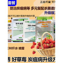 ��ݮ̿�Ҳ����۲��������׷۲��������ϴ��M��ѿ�ֻ����[�����ز�