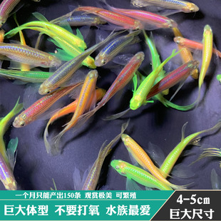 �Lβ�����~�L���󷫴��w�����G�^�p�~���P��ˮ��ˮ���B���~�羳