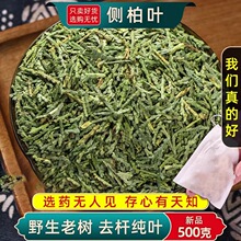 �؎XҰɽ���r�Ȱ��~ꎸ��㸽�Ӯ��w�����Ǟ��lÓ�lϴ�^��؛��