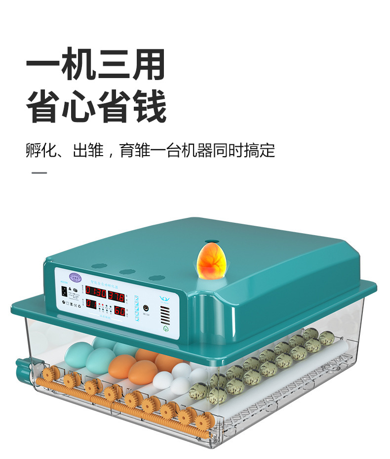 字体检查2_06.jpg