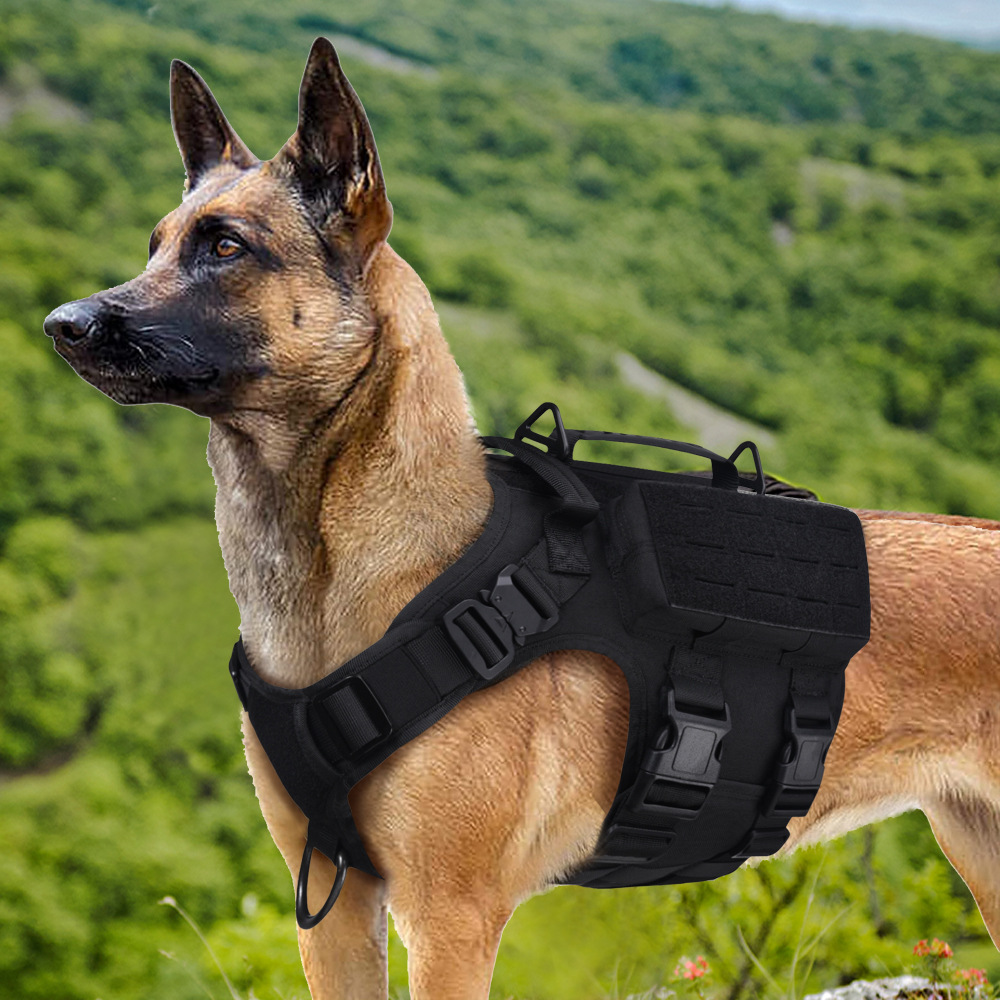 국경 간 전술 개 의류 세트 다기능 나일론 방수 개 훈련 의류 개 전투 조끼 공장 직접 판매