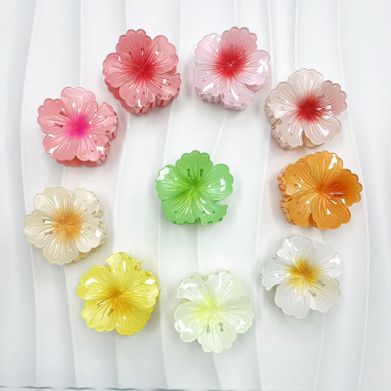 38g Weight Hair Clip, Hair Claws Hair Accessories Type 1 Piece Quantity Daily Occasion Resin Material Fish, Shark, Plumeria Pattern All Seasons Season Women's Gender Vacation, Sweet Style Vacation Sweet Women's Fish Shark Plumeria Resin Hair Clip Hair Claws 4