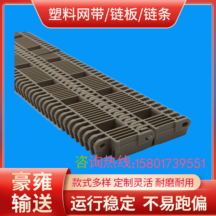 直接供应 杀菌线凸肋塑料网带 平格网带 大节距输送线网带链