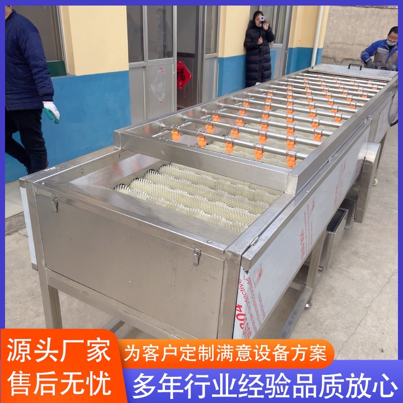 供应胡萝卜去皮清洗流水线 生姜鲜姜毛辊清洗流水线 厂家供应