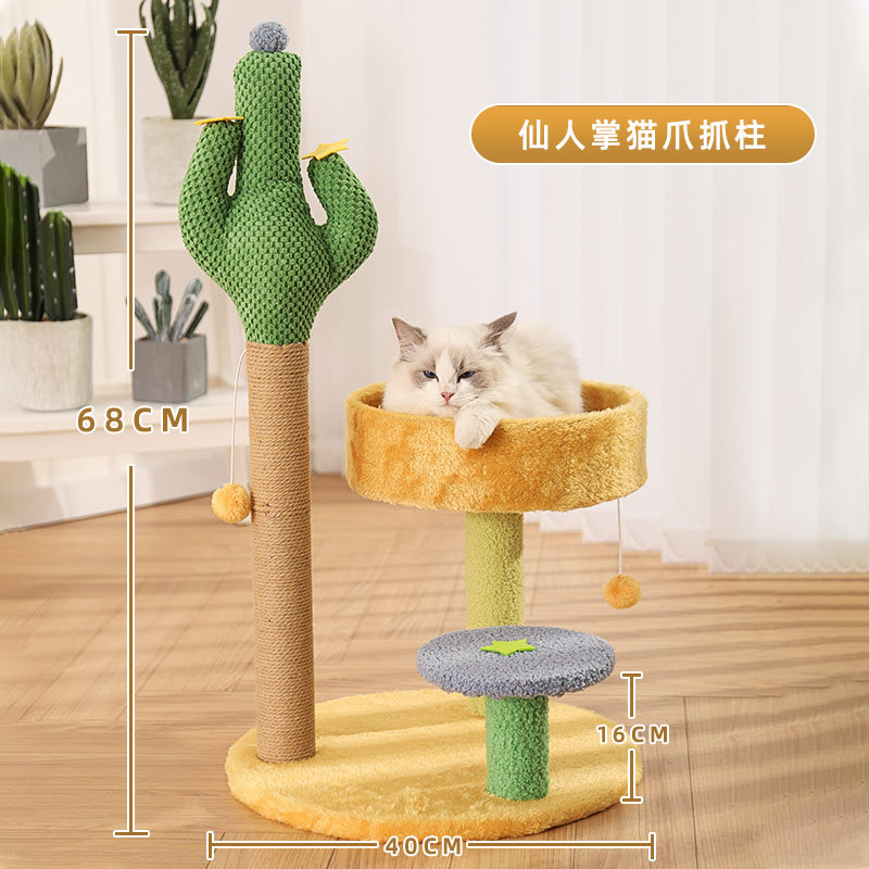 사막의 오아시스 [스타 스타일] 높고 낮은 둥지