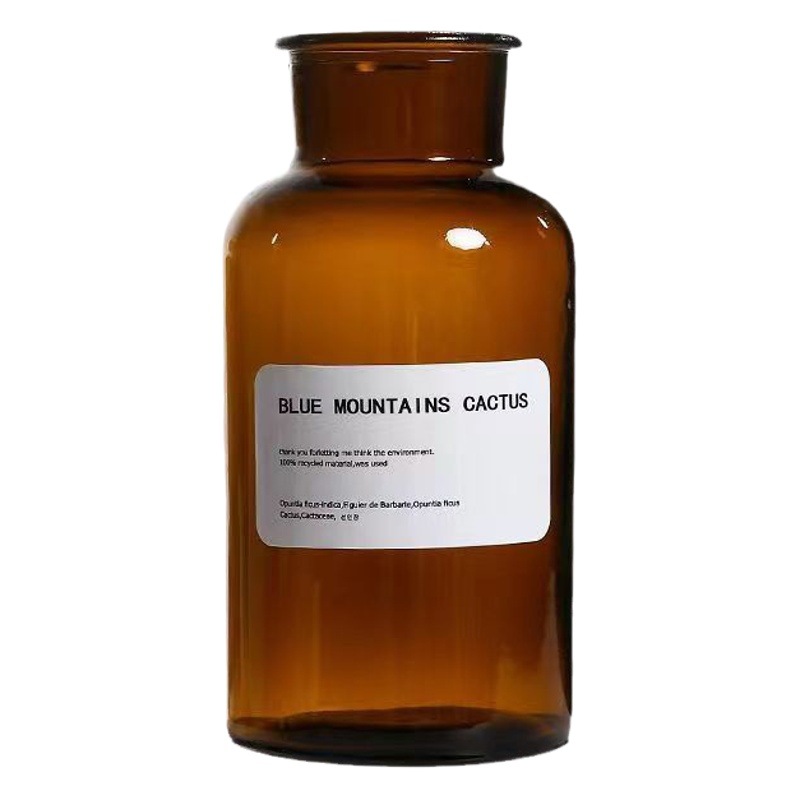 Ins jarrón transparente de vidrio de estilo nórdico florero reactivo florero seco de alta calidad de escritorio adornos de decoración del hogar