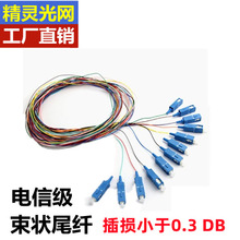 SC大方头12芯12色单模ODF束状熔接盘光纤跳线尾缆