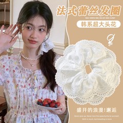 白色蕾丝花边大肠发圈女高级感2025新款气质扎低马尾头绳头花发饰