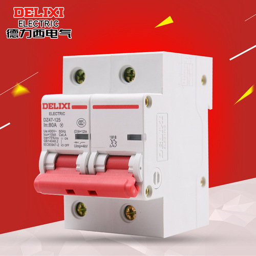 Delixi 100A air switch DZ47 single-phase 2P 80A air switch 125A high power small circuit breaker for home use