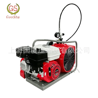 High-pressure air compressor, air-cooled mobile breathing air filling pump, industrial inspection inflating equipment (Hava kompressorları) - gsw-300-deposit-payment