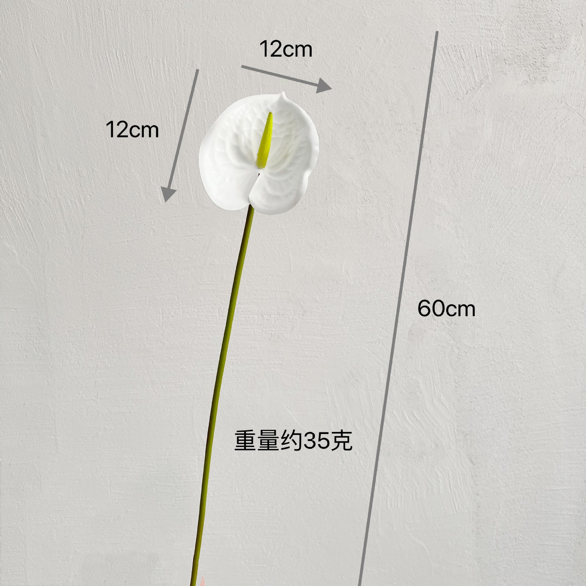 3D 안스리움 [흰색과 녹색 하트]