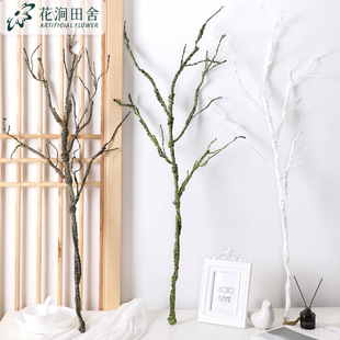 �l��֦��ɫ��cܛ�b����ֲ���֦ ���� �Ҿ��b��滨�ٻ����ٗl