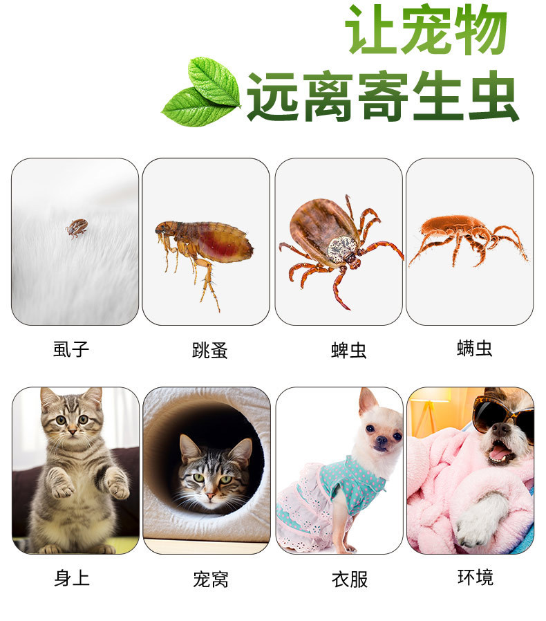 虱蚤清宠物猫狗体外驱虫强效螨虫蜱虫跳蚤虱子喷剂除臭剂非杀虫剂-阿里巴巴