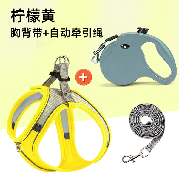 [后缀灰黄胸背带+自动牵引绳+1.5M编绳☆]