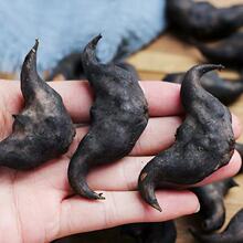 ���]�r�ҬFժ������r����Ǻ����خa��ʳ����״�������Ҝ����l