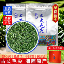 古丈毛尖茶叶2025新茶浓香型绿茶散装嫩芽毛尖湘西古丈原产茶