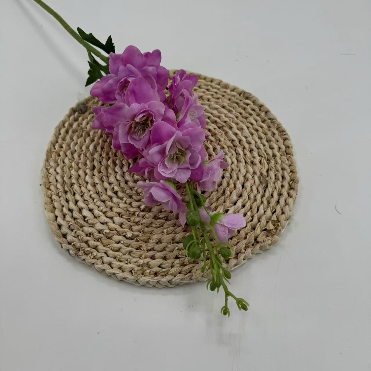 연한 보라색