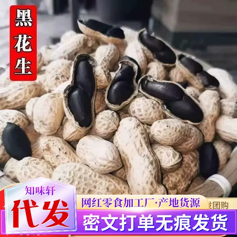 富碱黑花生带壳生的黑花生农家花生好吃高营养大田播种新货黑花生