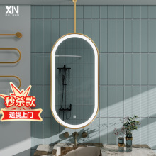 椭圆形吊杆智能镜子洗手间浴室镜子天花板吊镜酒店民宿装饰化妆镜