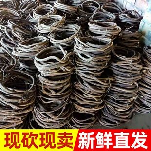 ���ٿ��ٷ���Gֲ�ٗl�����҃��̨�ܵ��b������~�Ӡ����ڼٻ�