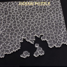 NƷ鲣puzzle¿ƴDSƴD羳