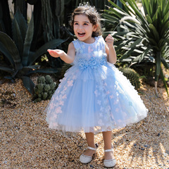 European and American Cross-Border Children's Formal Dress with 3D Floral Puffy Design | Girls' Flower Girl Wedding Gown | Baby Dress